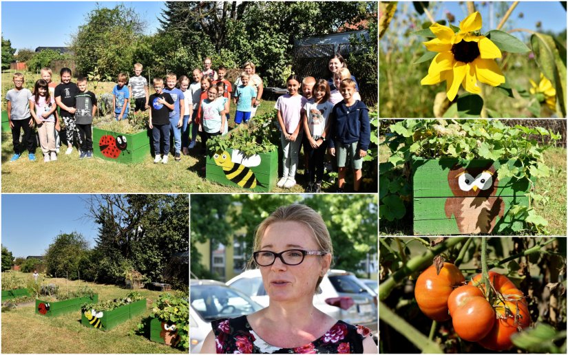 Mali vrtlari 3. razreda IV. O&Scaron; u &scaron;kolskom vrtu uzgajaju voće i povrće: "Ukusnije je!"