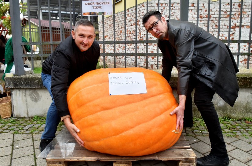 11. Festival tikvi na varaždinskom placu ove subote