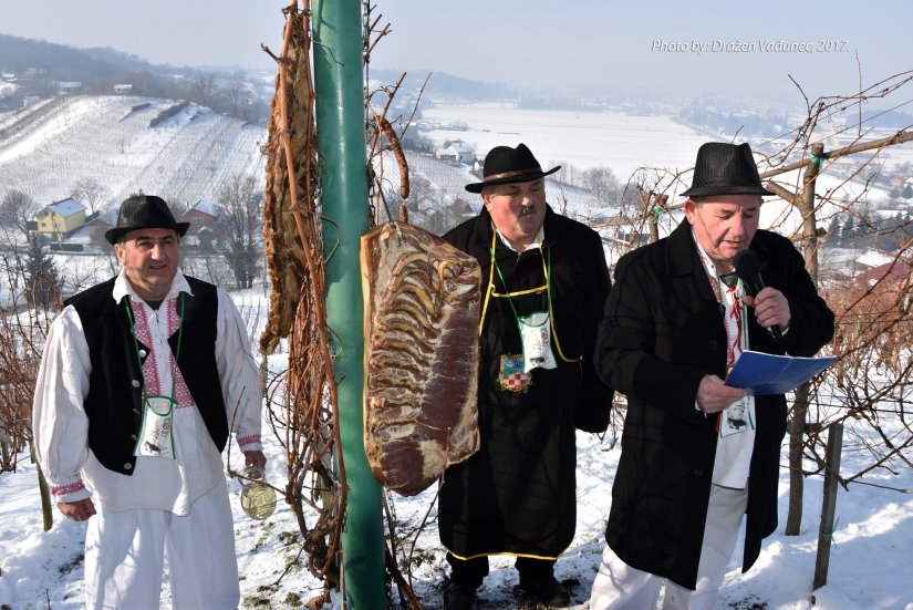 FOTO Vinogradari udruge Trsek obilježili Vincekovo