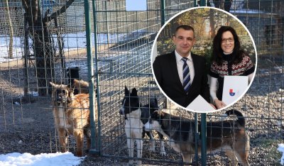 Međimurska županija nastavlja pružati podršku programu skrbi o napuštenim životinjama