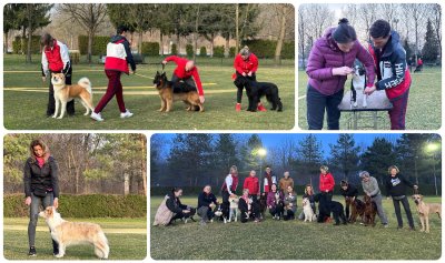 FOTO Kinološko društvo Varaždin organiziralo trening pasa koji se pripremaju za svjetsku izložbu