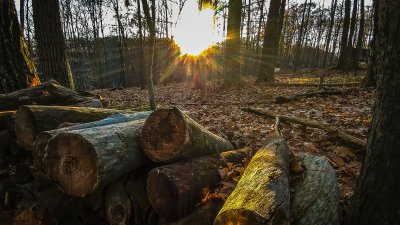 Kradu se bicikli, novac i stabla iz šume, ali i kamin na kruta goriva