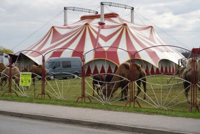 Pravi cirkus izazvalo gostovanje njemačkog obiteljskog cirkusa Candy u Trnovcu