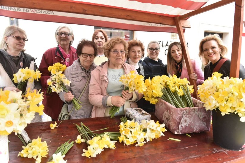 FOTO Dan narcisa u Varaždinskoj županiji: Žene, odazovite se na preventivne preglede!