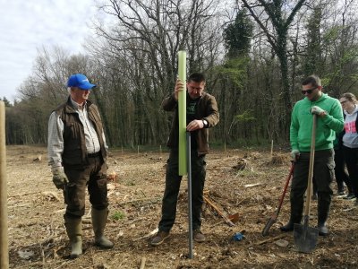 FOTO U Zelendvoru održana akcija Rotary šuma Posađeno 1.250 sadnica hrasta lužnjaka
