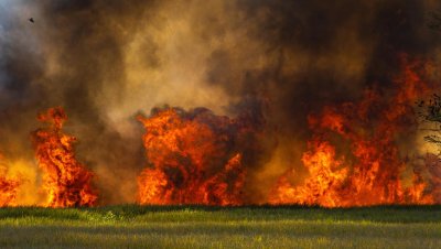Oprez kod spaljivanja korova, kazne za izazivanje požara nisu male