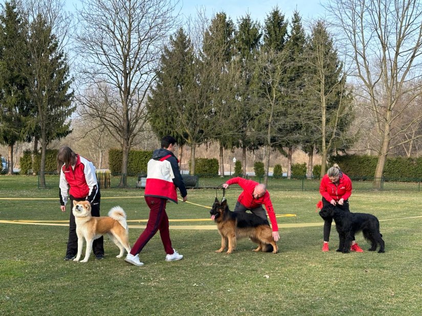 FOTO Kinološko društvo Varaždin organiziralo trening pasa za Svjetsku izložbu