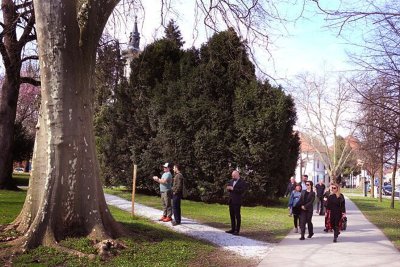 Varaždin proglašen Europskim gradom stabala 2024.!