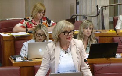 Antolić Vupora u Saboru: Interesi djeteta moraju biti na prvom mjestu!