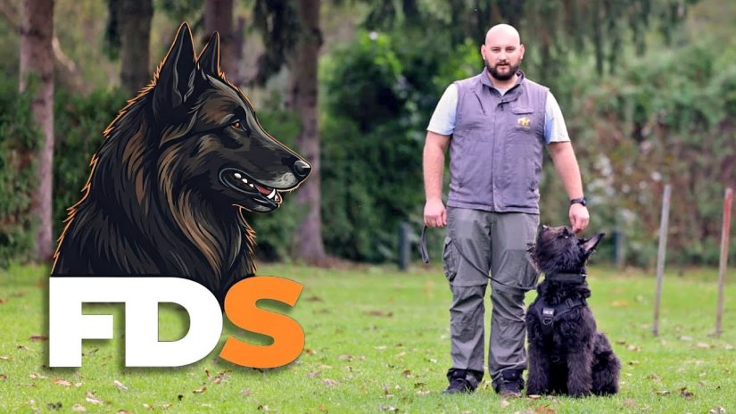 Va&scaron; pas vas ne slu&scaron;a? Ova &scaron;kola iz na&scaron;e okolice ima rje&scaron;enje