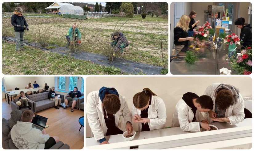 SREDNJA ŠKOLA “ARBORETUM OPEKA” Poljoprivreda u rukama mladih - obrazovanje kroz praksu i inovacije