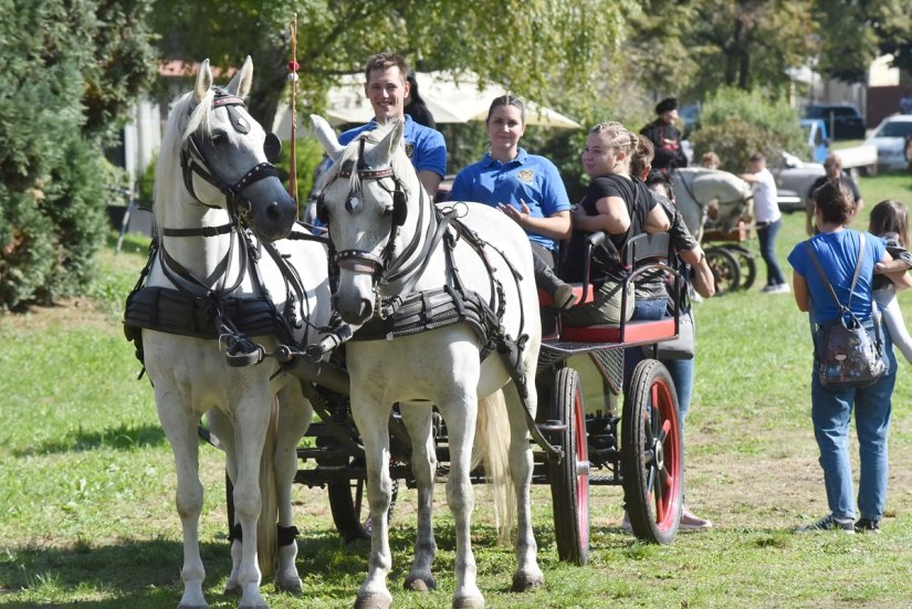 Konji i kočije vraćaju se na ulice, u subotu se održava &quot;Dan kočija u Varaždinu&quot;