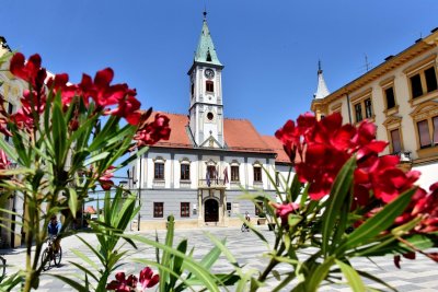GRAD VARAŽDIN Objavljen javni poziv za predlaganje kandidata za predsjednika Etičkog odbora i članove Vijeća časti