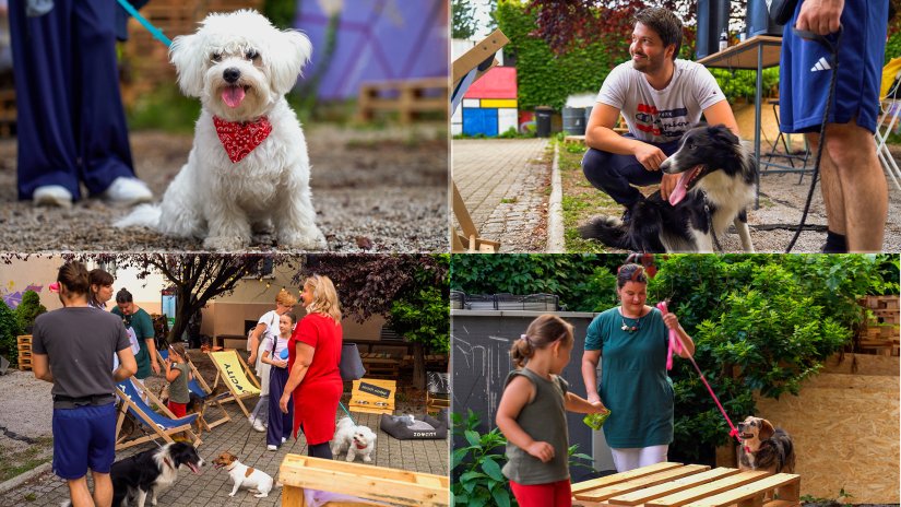 Pasje popodne vol. 3 razveselilo velike i male njuške – Hladoveena se nastavlja!