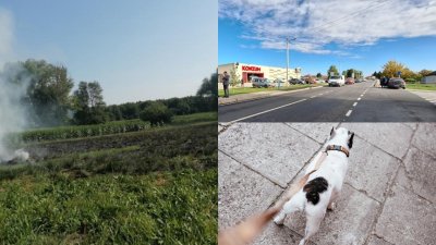 TRNOVEC BARTOLOVEČKI Općina podsjeća građane na obveze kućnog reda - slijede i novčane kazne!