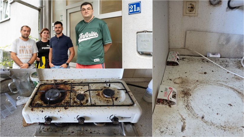 “Žohari hodaju po hodnicima, penju se po zidovima, došlo je do najezde”