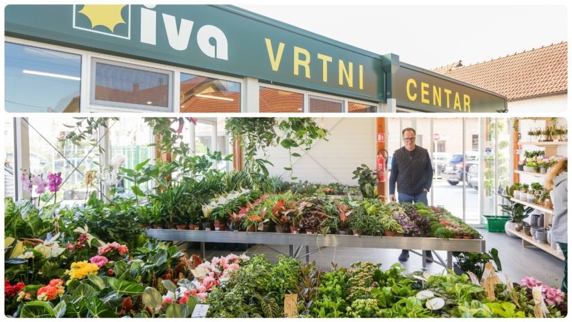 VRTNI CENTAR IVA Stvorite svoju zelenu oazu mira i ljepote; posjetite nas u Nedeljancu ili Štefancu!