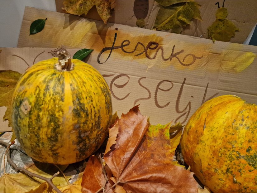 Jesensko veselje u Šandorovcu: Djeca stvarala kukce i umjetnine od jesenskih darova