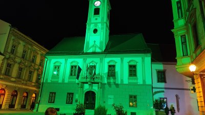 U povodu Svjetskog dana cerebralne paralize Gradska vijećnica - u zelenom