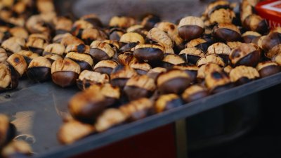PETRIJANEC Dođite na tradicionalnu vrtićku Kestenijadu Dječjeg vrtića Bambi