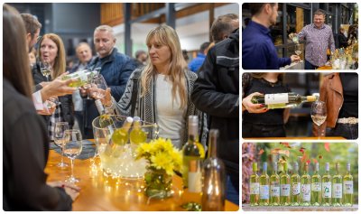 Martinje u Štrigovi uz mlada vina – uživajte u prvim kapljicama odlične berbe