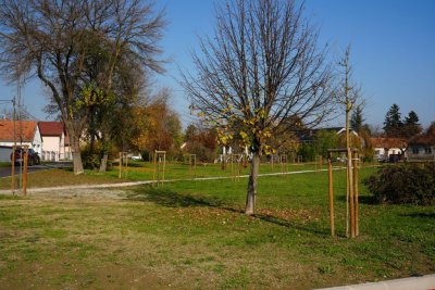 VARAŽDIN POD KROŠNJAMA Nastavljeno ozelenjivanje - još 162 stabla u listopadu