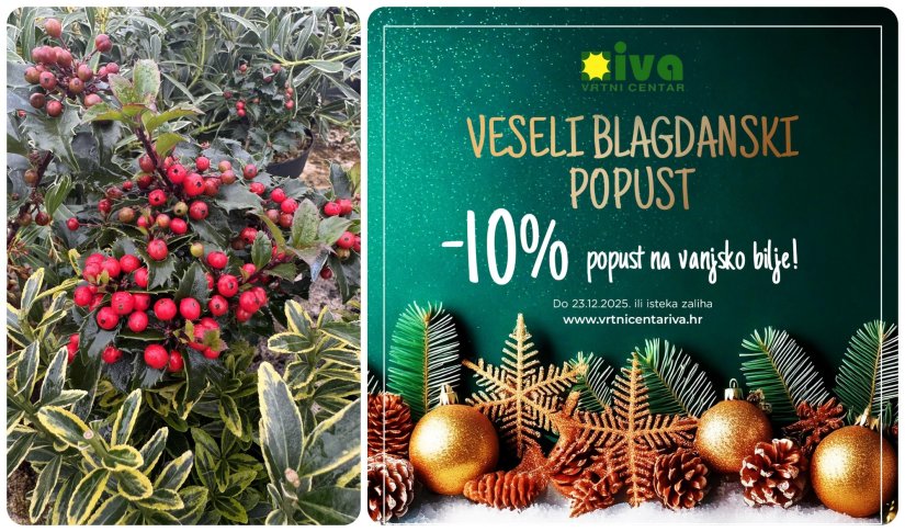 VRTNI CENTAR IVA&nbsp;Iskoristite blagdanski popust od 10% i oplemenite svoj prostor ili obradujte dragu osobu