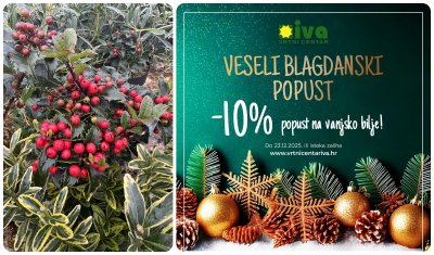 VRTNI CENTAR IVA&nbsp;Iskoristite blagdanski popust od 10% i oplemenite svoj prostor ili obradujte dragu osobu