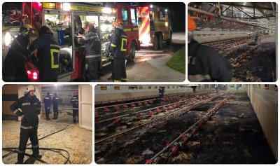 Drama u Velikom Bukovcu: buknuo požar u peradarniku, uginulo vi&scaron;e tisuća pilića