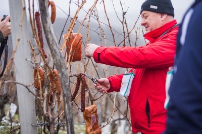 Voćansko Vincekovo: Jedinstveni pohod kakvog nema nigdje u Hrvatskoj