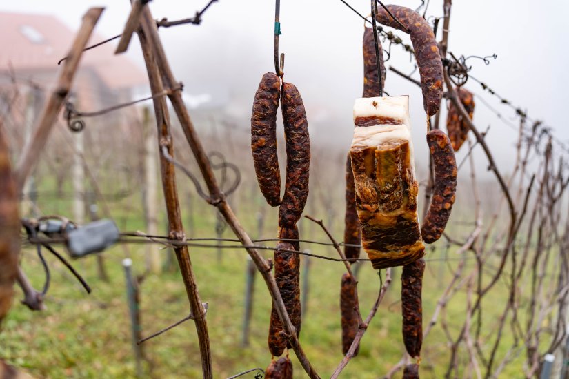 Udruga vinogradara Vinea ove subote slavi Vincekovo