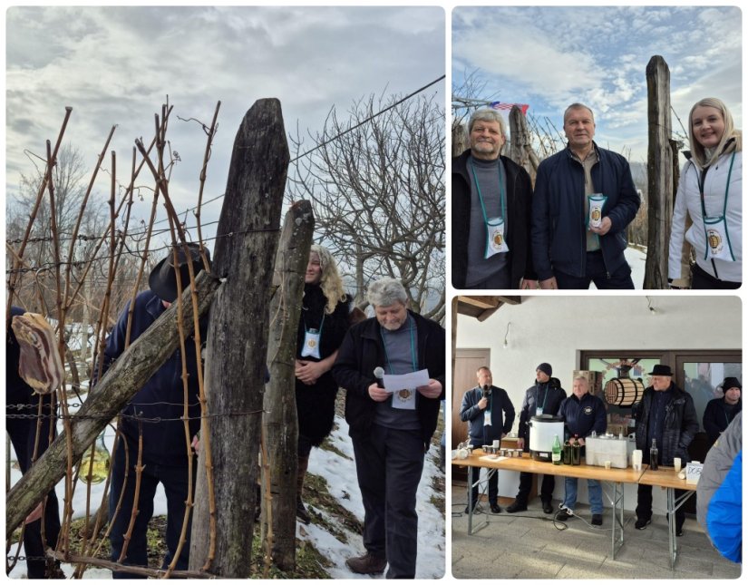 FOTO Vincekov pohod na pitomim obroncima Voće &ndash; doživljaj koji bri&scaron;e granice vremena