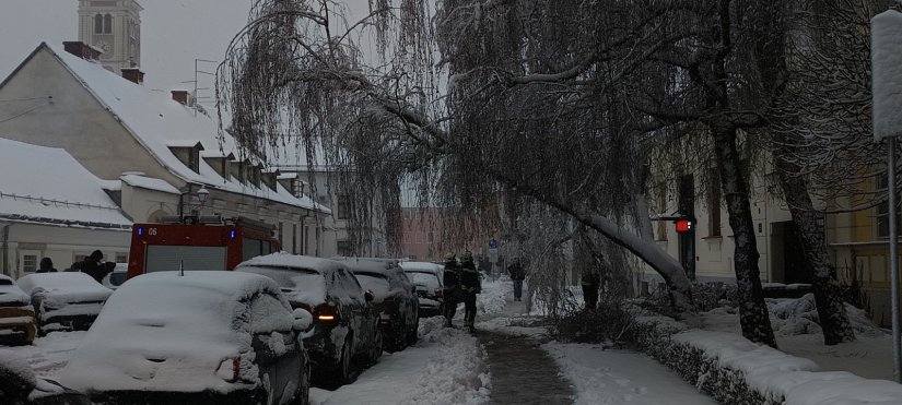 U Varaždinu 150 intervencija uklanjanja stabala; iz Grada apeliraju da se ne prolazi ispod stabala