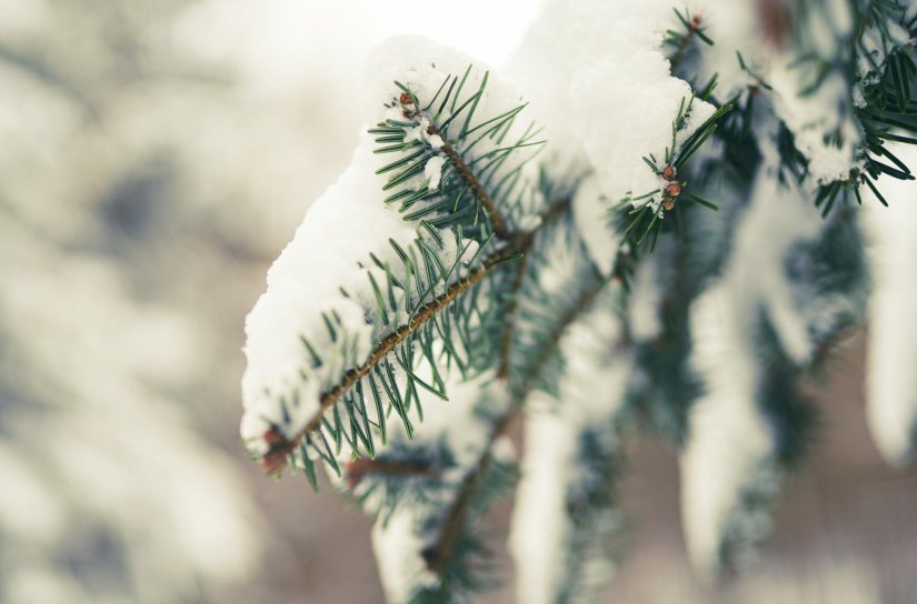 HGSS: Ovo su izvanredni vremenski uvjeti, planirajte odgovorno i bez rizika