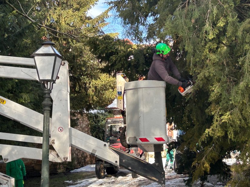 U tijeku sanacija &scaron;tete od mokrog snijega na stablima u Varaždinu