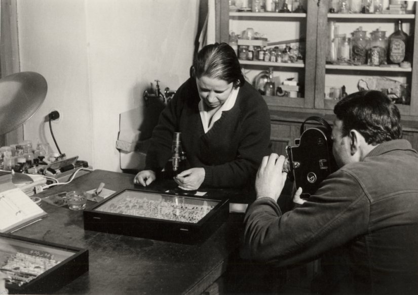 Srijeda u muzeju: Ružica Ko&scaron;ćec - prva kustosica na Entomolo&scaron;kom odjelu GMV-a