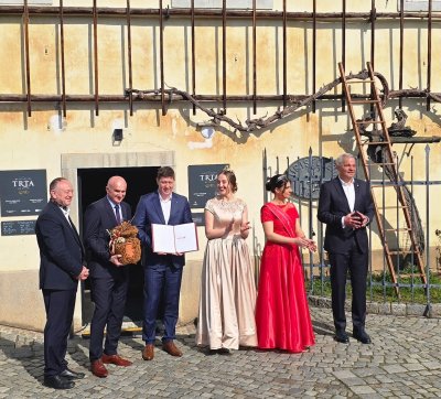 U Vinicu iz Maribora stiže najstarija loza na svijetu