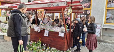 Mali zadrugari III. O&Scaron; Varaždin na varaždinskom placu