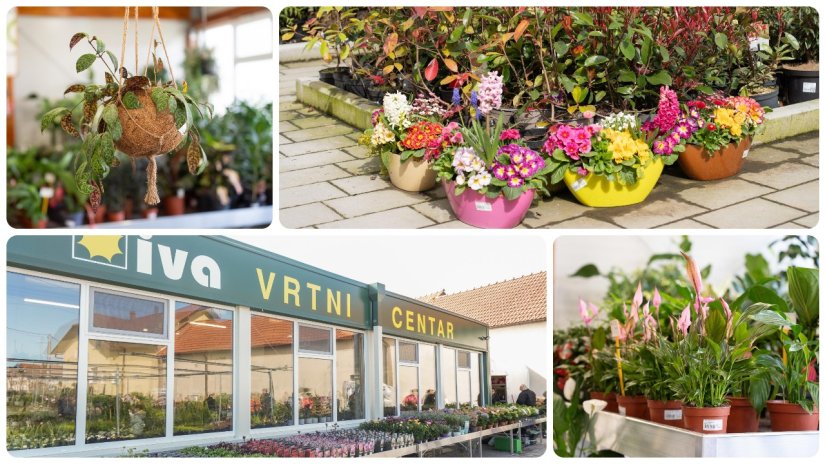 VRTNI CENTAR IVA Proslavite s nama na&scaron; prvi rođendan i od 26. do 28. ožujka kupujte uz 15% popusta!