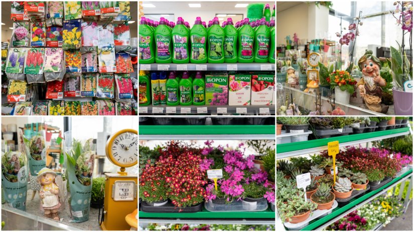 Desyre dočekuje proljeće s bogatom ponudom sjemena, presadnica i savjeta