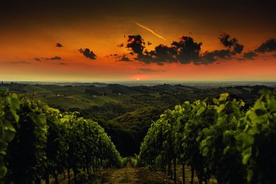 Međimurska županija: Regija koja ne prati trendove, već ih stvara