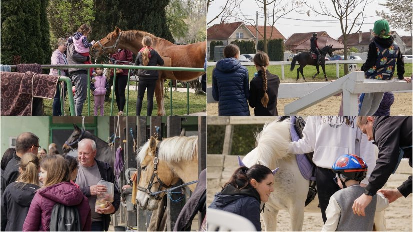 FOTO: Ljubav prema konjima okupila brojne posjetitelje