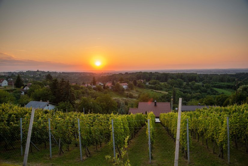 72-godi&scaron;njak, nakon prepirke, upucao 78-godi&scaron;njaka, koji je od ozlijede preminuo