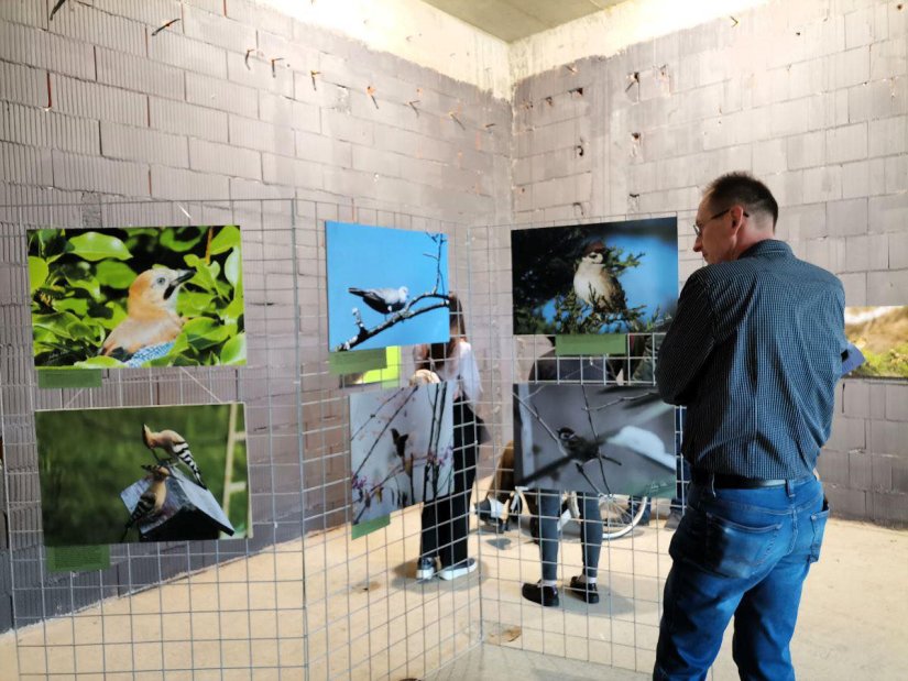 MUZEJ PLANINARSTVA Razgledajte umjetničko-edukativnu izložbu fotografija ptica Ljubice Ribić