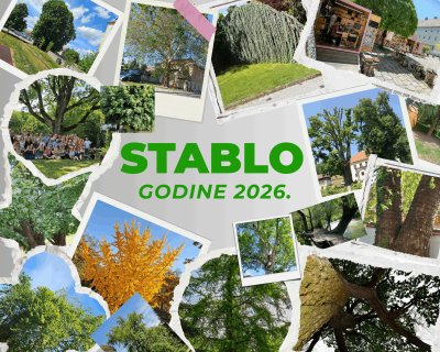 Otvoreno glasanje za Stablo godine 2026. Varaždina i Varaždinske županije, iza svakog kandidata krije se priča vrijedna glasa