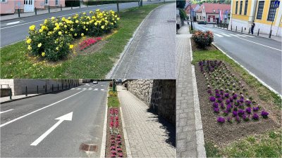 Proljetno izdanje Varaždinskih Toplica! Grad zablistao uz novo cvjetno uređenje