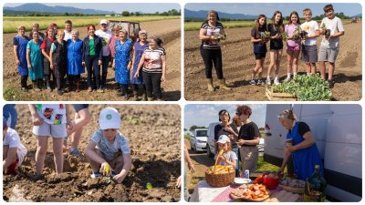 FOTO U Domitrovcu na imanju obitelji Cafuk prikazana tradicionalna sadnja Varaždinskog zelja