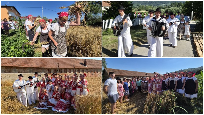 FOTO Udruga Biserna Dolina proslavila 15 godina rada uz tradicionalnu ručnu žetvu raži u Gre&scaron;ćevini
