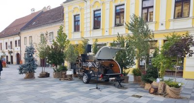 Ne propustite izložbu cvijeća u sklopu programa Total Baroquea