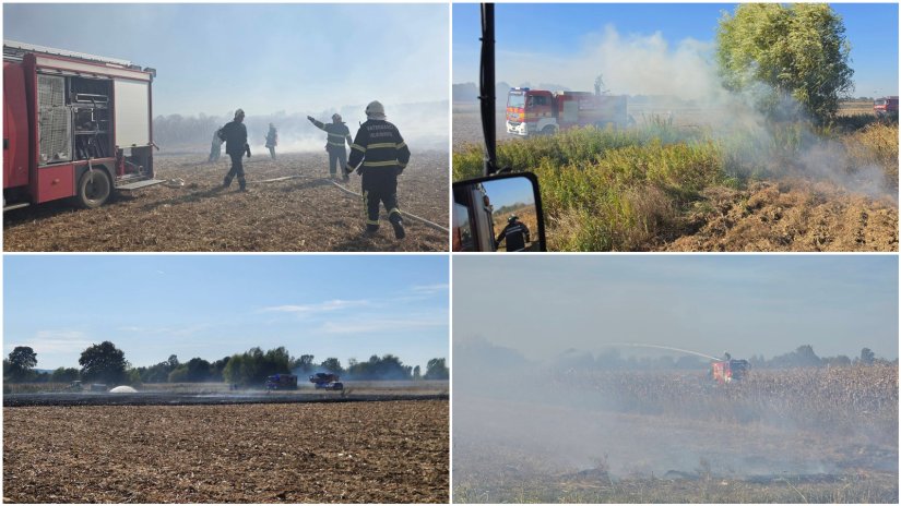 FOTO Četiri vatrogasna dru&scaron;tva i poljoprivrednici borili se s velikim požarom, ga&scaron;enje otežavao vjetar